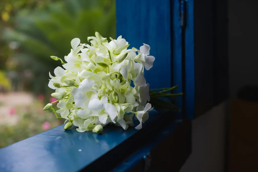 Orchids for Meaningful Moments